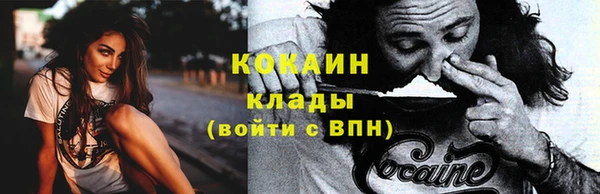 стаф Арсеньев