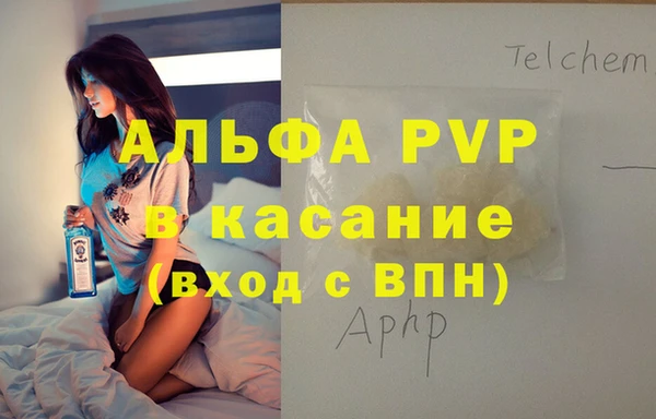 стаф Арсеньев
