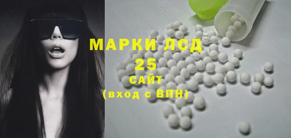 стаф Арсеньев