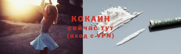 стаф Арсеньев