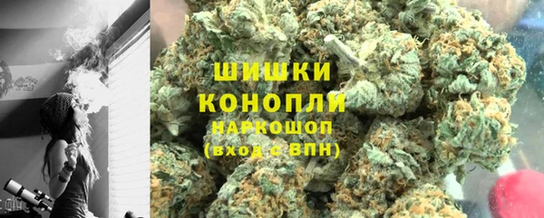 стаф Арсеньев