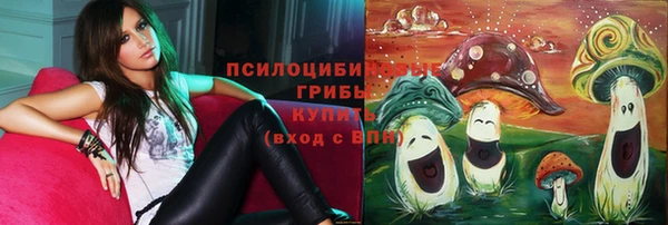 стаф Арсеньев